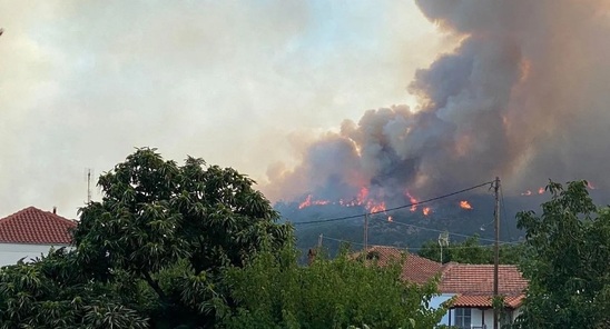 Image: Φωτιά στον Έβρο: Μάχη για να σωθεί το δάσος της Δαδιάς – Ξεκίνησαν ρίψεις τα εναέρια μέσα