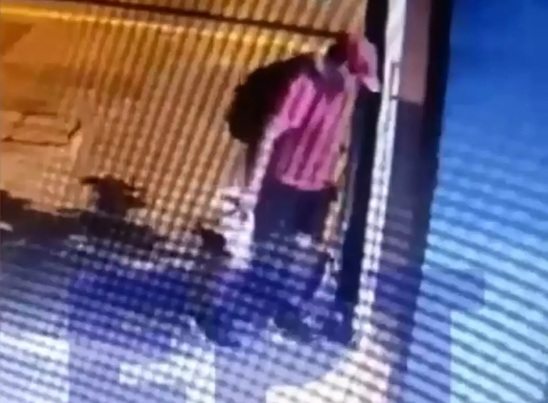 Image: Θεσσαλονίκη: Άνδρας τσαλαπάτησε και σκότωσε γατάκι – Βίντεο ντοκουμέντο