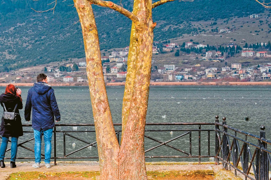 Image: Επιχειρηματίας από τα Ιωάννινα έβαλε να ρίξουν στη λίμνη την έγκυο σύντροφό του