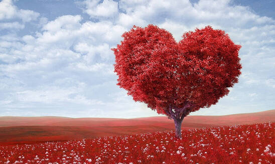 Image: Προσοχή στις «ρομαντικές απάτες» σήμερα: Μπίζνες εκατομμυρίων από την εκμετάλλευση μοναχικών ανθρώπων