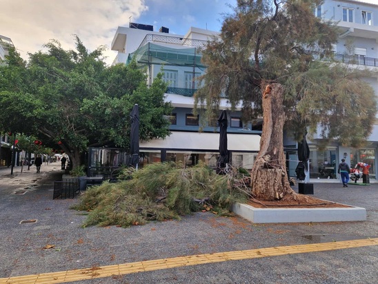 Image: Ο Αντιπεριφερειάρχης Λασιθίου για την κακοκαιρία: Πλήρης κινητοποίηση, τοπικές ζημιές και ανάγκη για άμεσες υδραυλικές λύσεις στην Ιεράπετρα