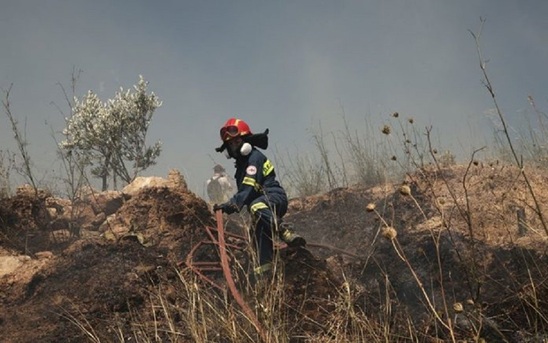 Image: Σοκ: Συνέλαβαν… 10χρονο για εμπρησμό – «Μου αρέσει να βλέπω τους πυροσβέστες να σβήνουν φωτιές»