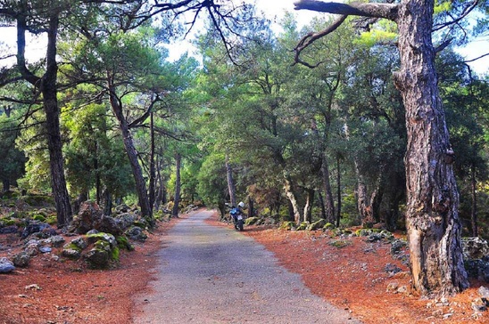 Image: Το δάσος στον Κρούστα «ξυπνά» την τοπική κοινωνία - Συντονισμένες κινήσεις και αιτήματα προς την Πολιτεία