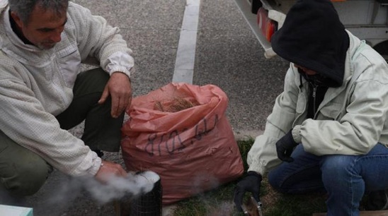 Image: Στην Αθήνα οι μελισσοκόμοι με αγροτικά, φορτηγά και λεωφορεία - Συλλαλητήριο στο Σύνταγμα