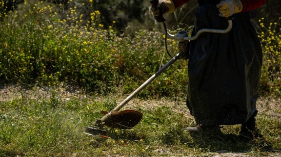 Image: Καθαρά οικόπεδα έως 15 Ιουνίου: πρόστιμα και έλεγχοι στην αντιπυρική περίοδο