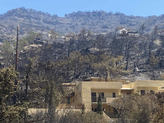 Image: Κάλεσμα προς τους πληγέντες παραγωγούς για υποβολή δηλώσεων ζημιάς στον ΕΛΓΑ έως 17/7