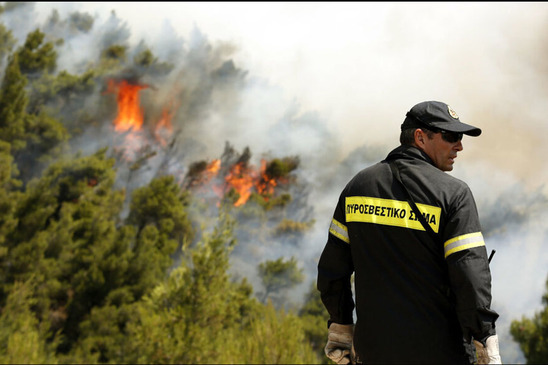 Image: Συνελήφθη 84χρονος για τη φωτιά στην Καλαμαύκα – Κάηκαν πάνω 6 στρέμματα γης