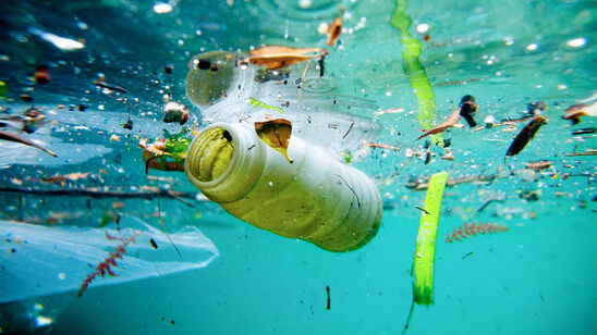 Image: "Όχι σκουπίδια, όχι πλαστικά" στις θάλασσες της Κρήτης 