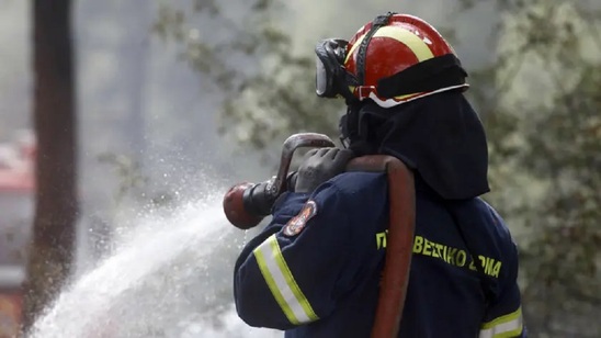 Image: Συγκροτήθηκε το νέο Διοικητικό Συμβούλιο της Πανελλήνιας Ένωσης Εθελοντών Πυροσβεστικού Σώματος