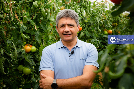 Image: Ροδιτάκης: Η διαχείριση της tuta στην ντομάτα με λιγότερα χημικά
