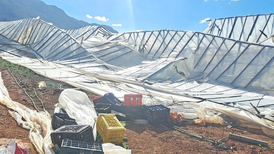 Image: Δυνατός άνεμος σάρωσε θερμοκήπια στον Τσούτσουρα – Ξεπερνούν τις 50.000 ευρώ οι ζημιές