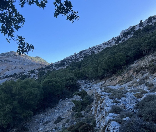 Image: ΕΟΣ Λασιθίου: 1η Μινωική στράτα Άμπελου - Φαράγγι Ρόζας
