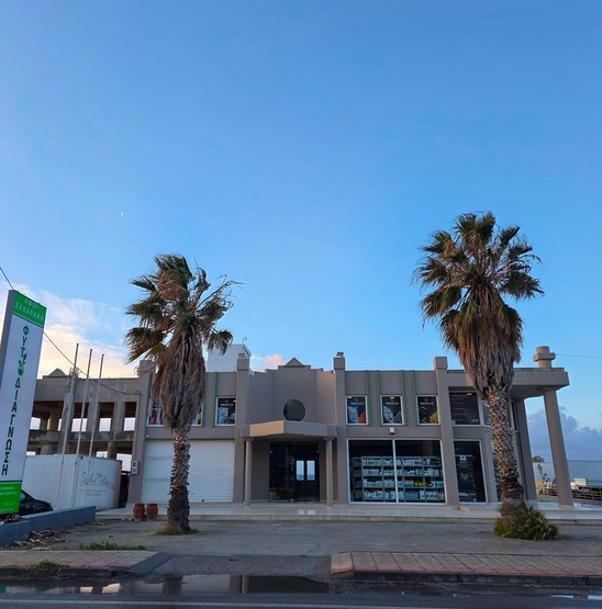 Image: Ελαιοκαλλιέργεια: Οι κρίσιμες παρεμβάσεις της περιόδου για υψηλή παραγωγή και ποιότητα ελαιολάδου